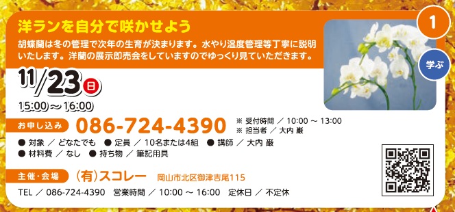 洋ランを自分で咲かせよう