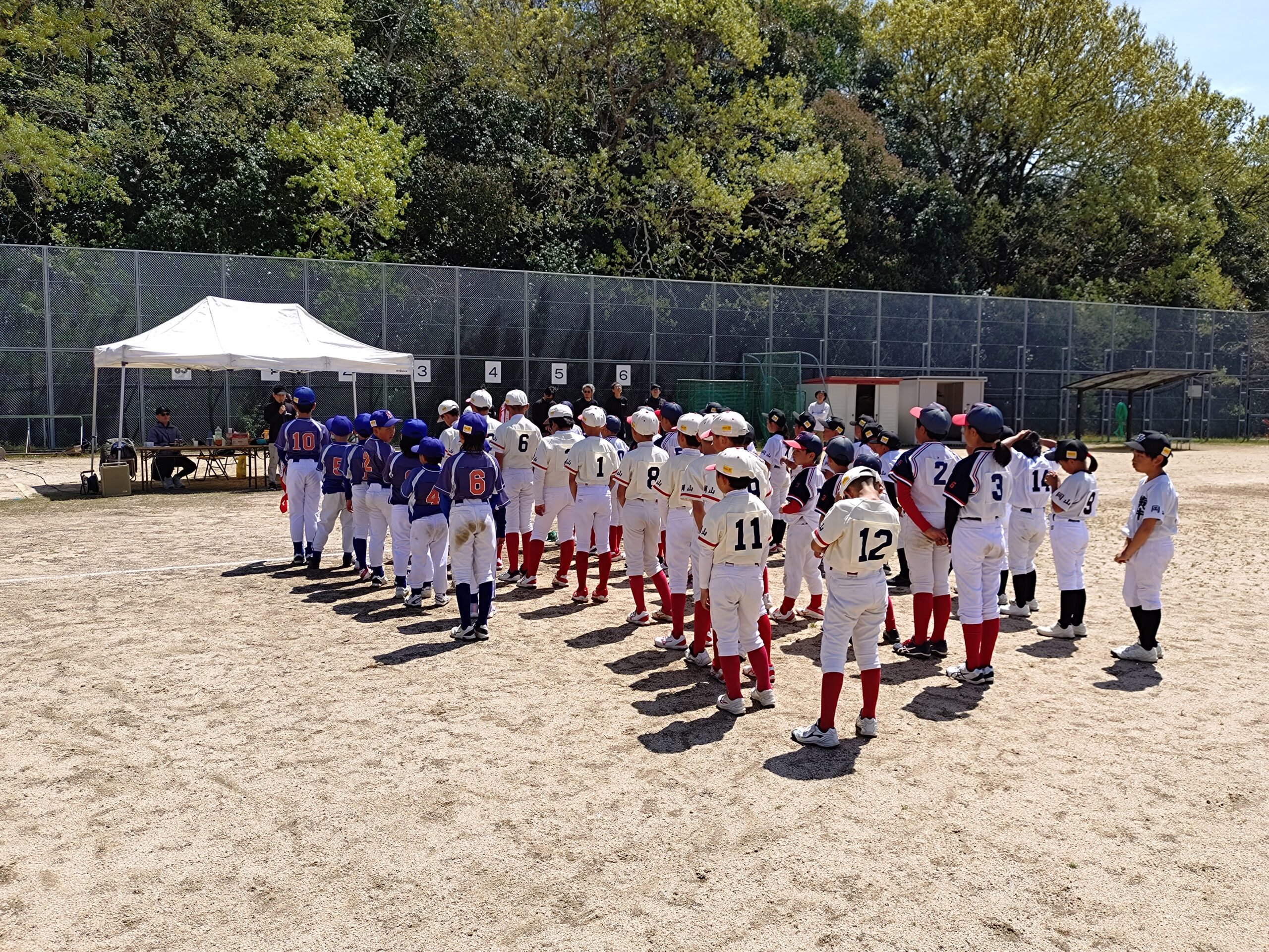 学童ソフトボール大会：青年部事業